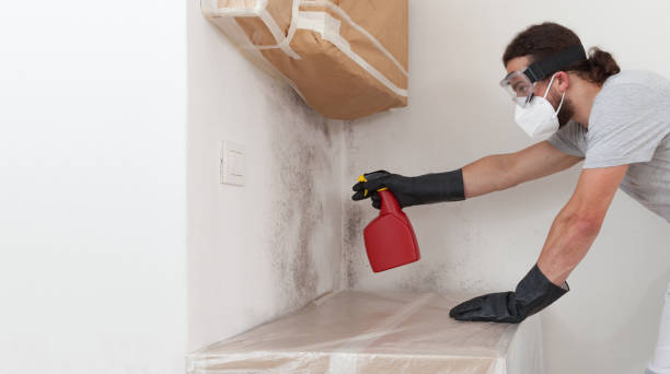Professional Mold Testing technician working in Hempstead, NY